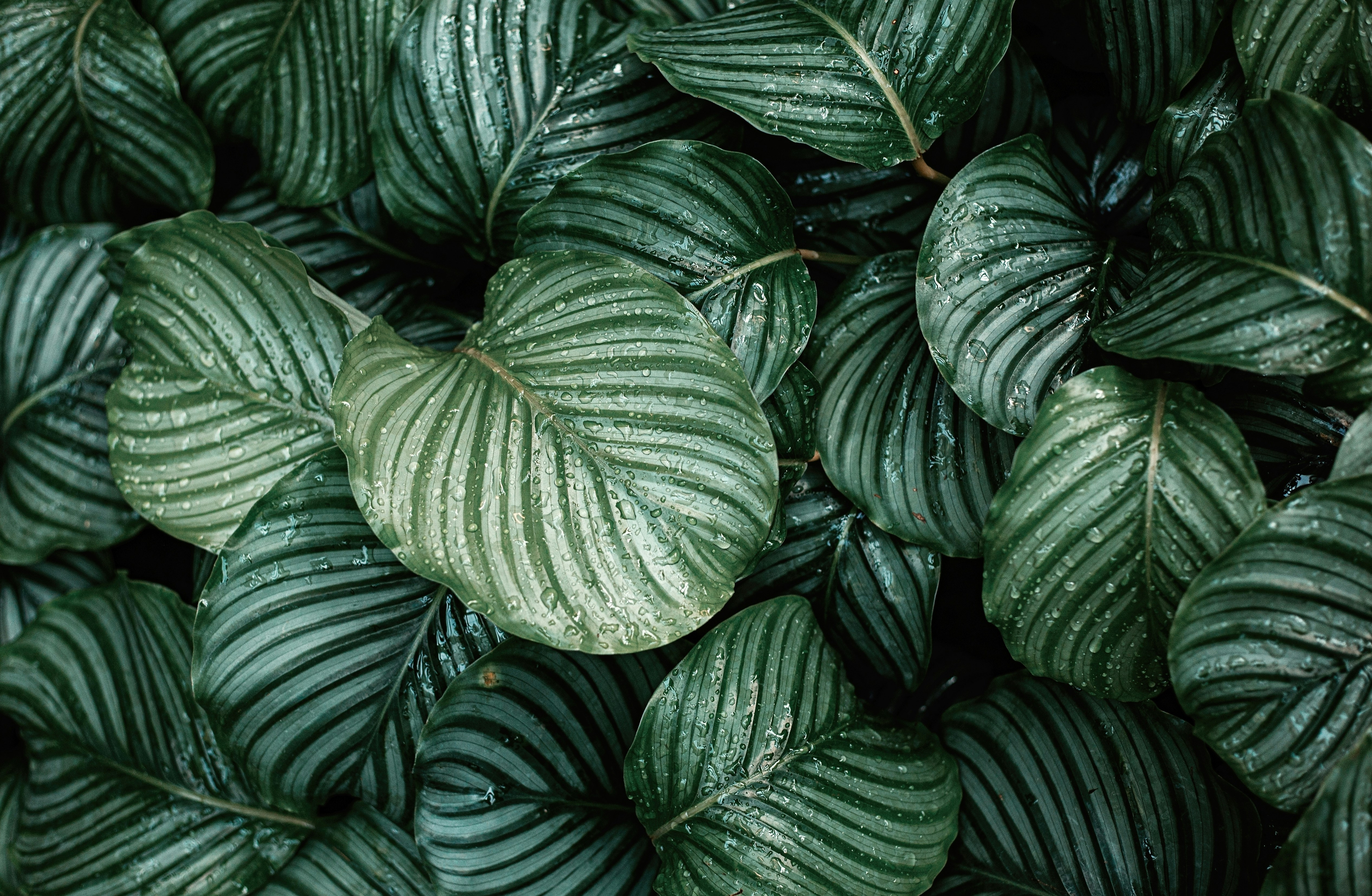 Photo by vinomamba24