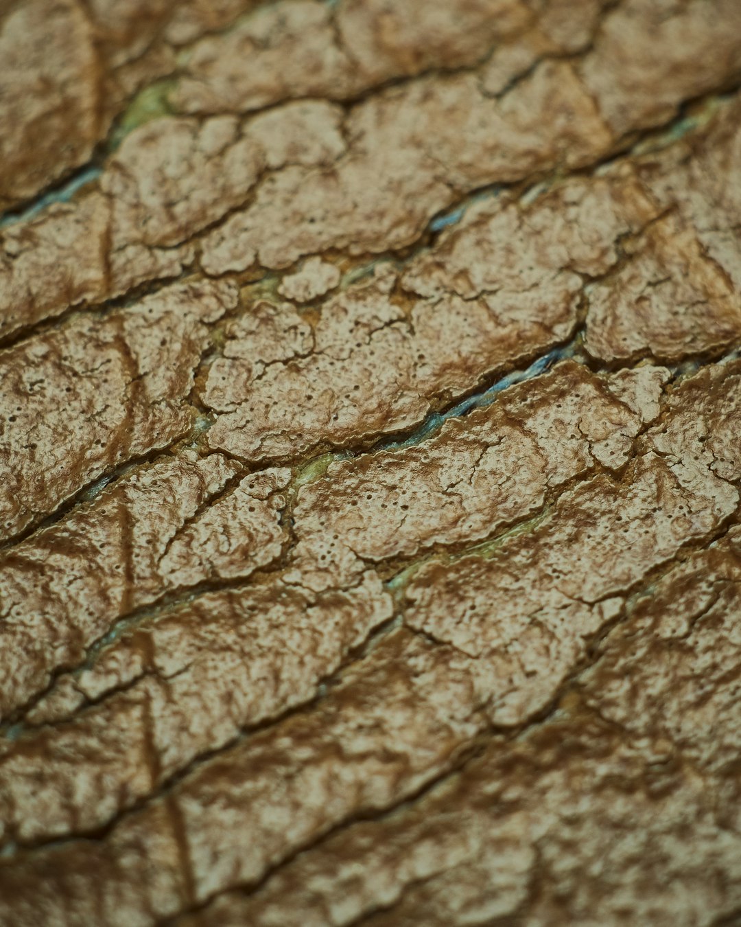 brown and blue rope on brown textile