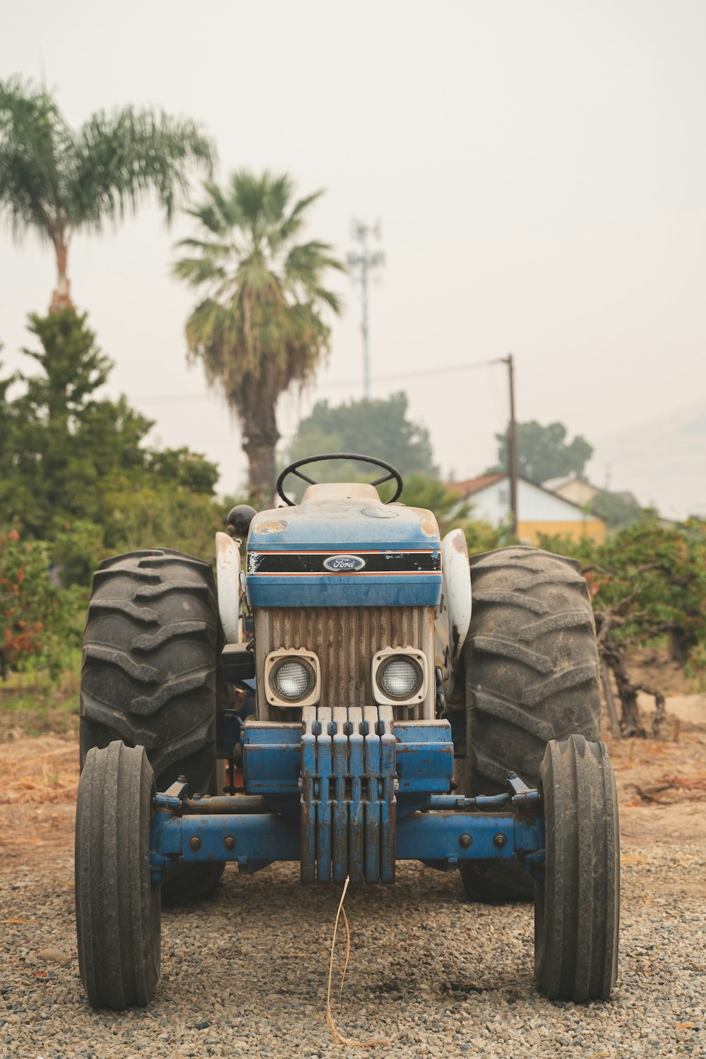 Blauer Traktor tagsüber auf grünem Rasenfeld