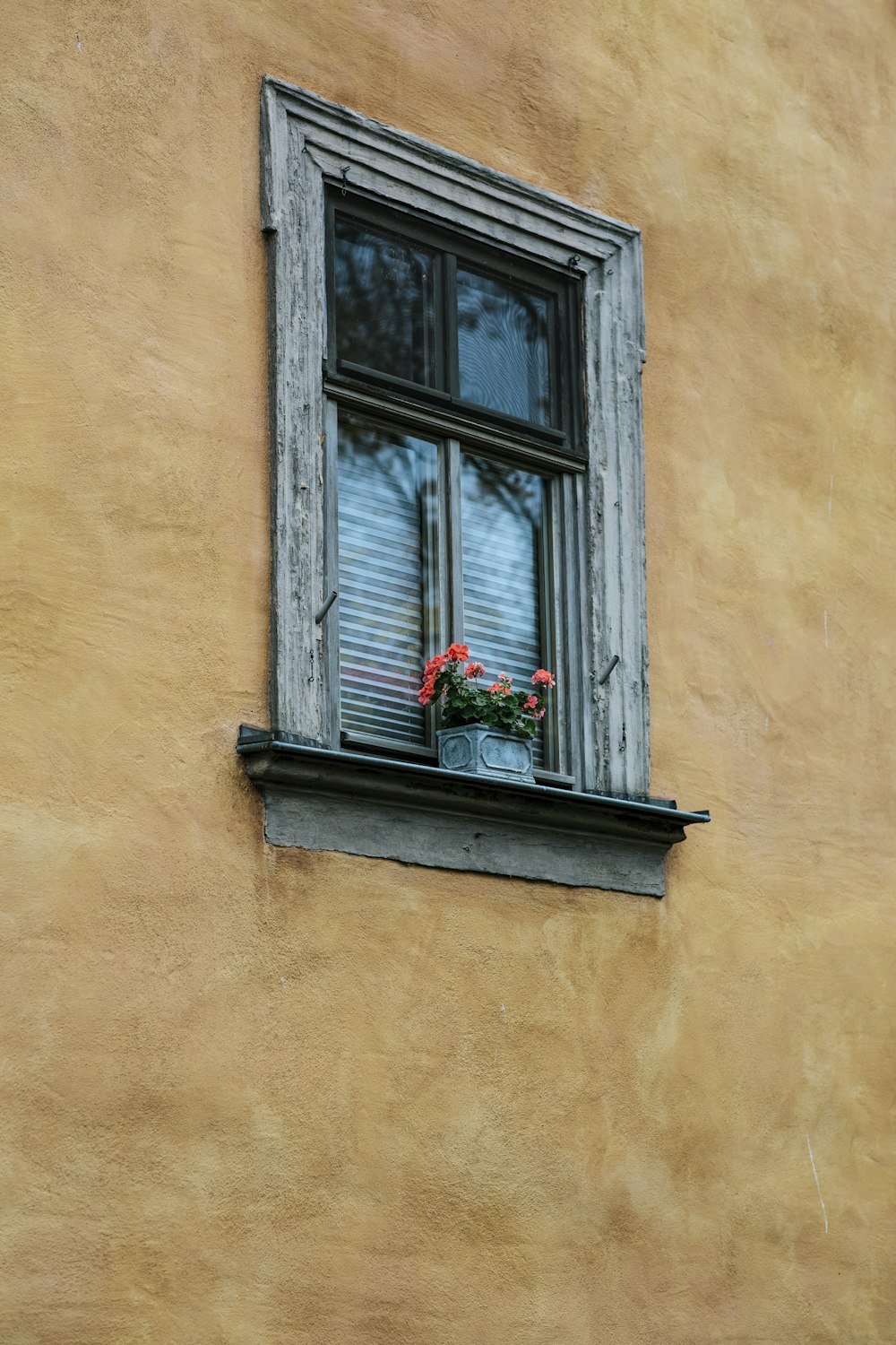 brown wooden window frame with red flowers