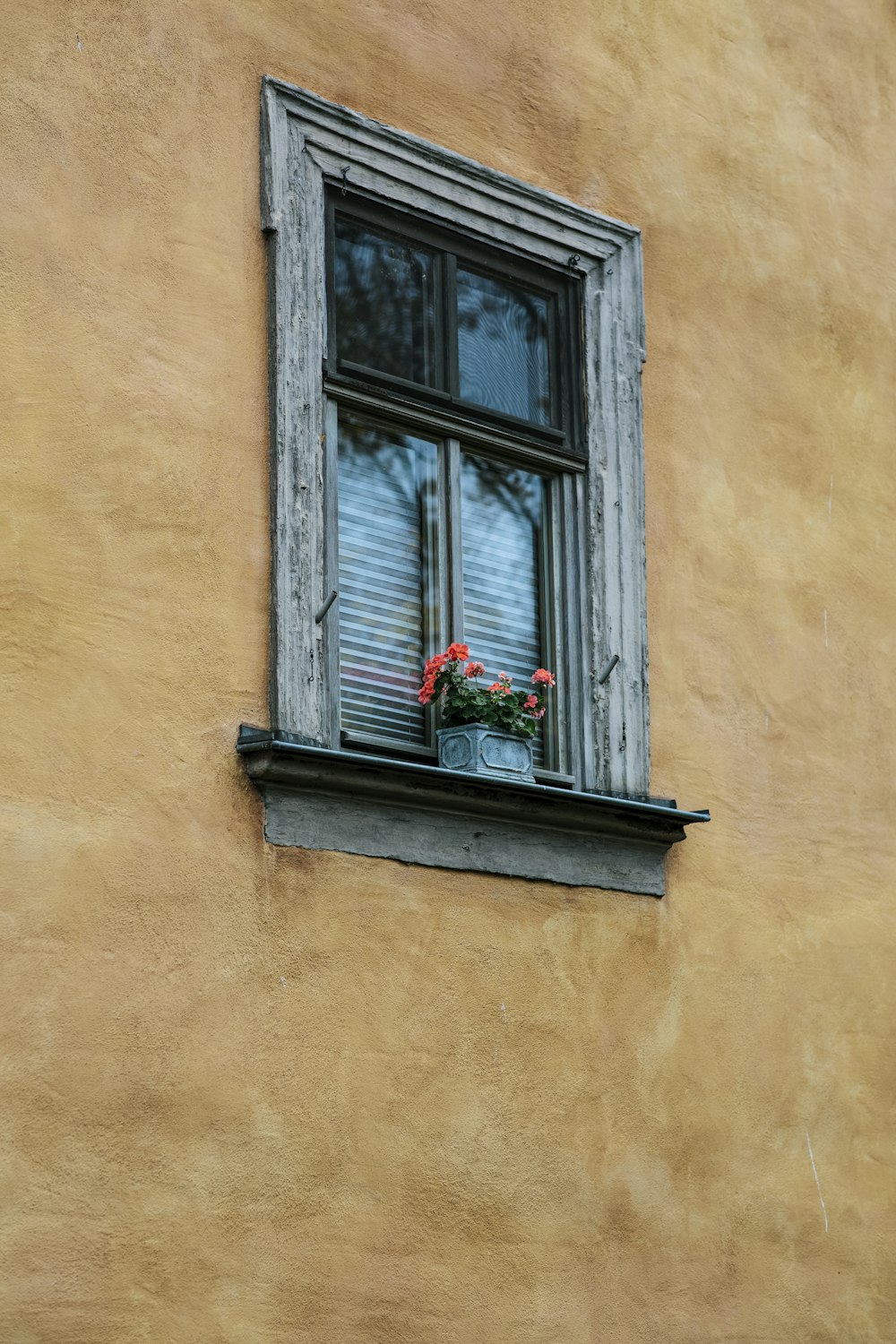 Marco de ventana de madera marrón con flores rojas