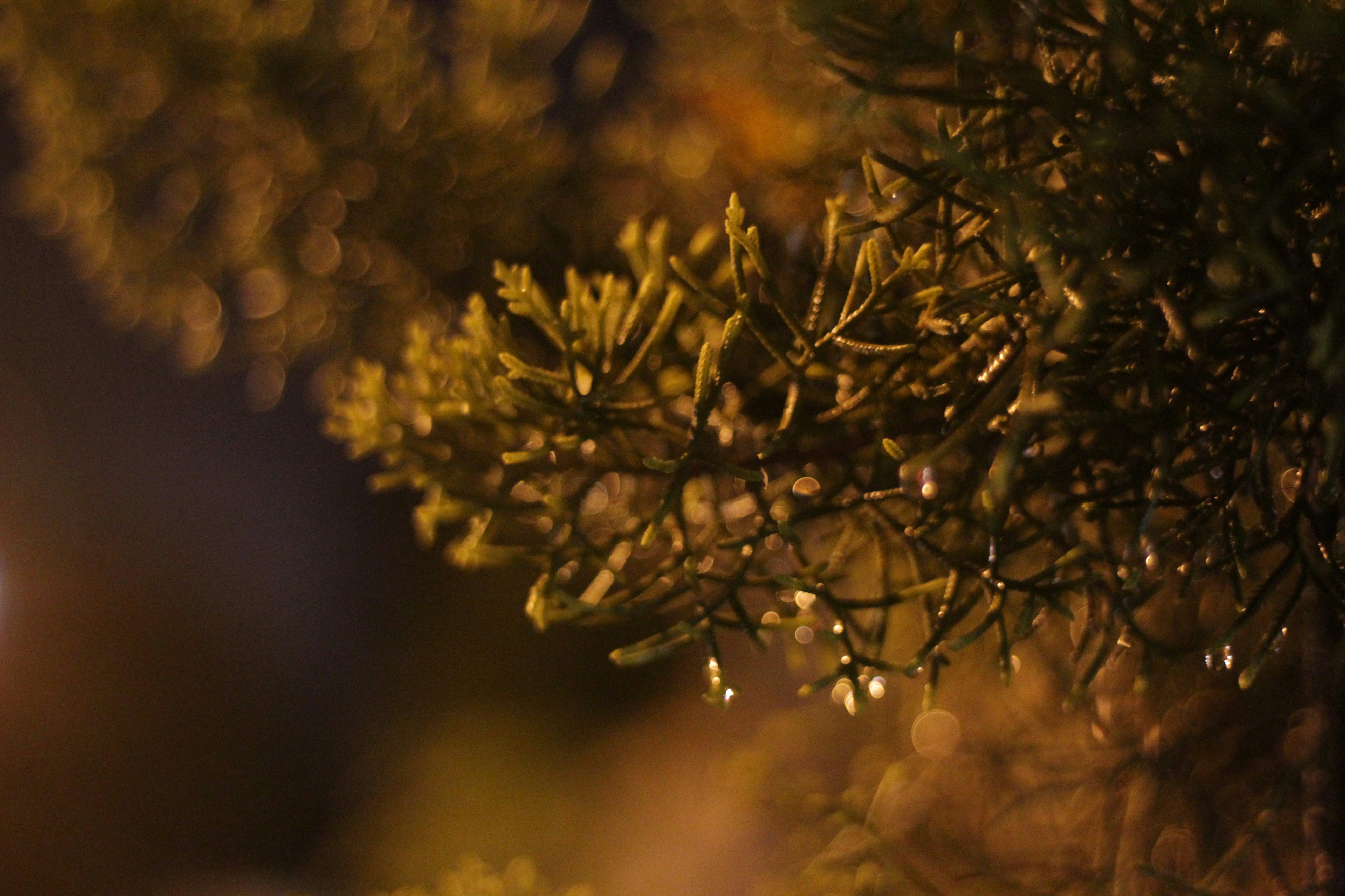 Photo by darkandflawed