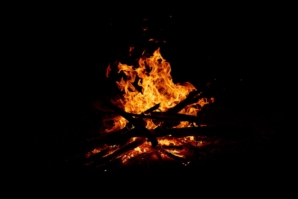 fire in black background with black background