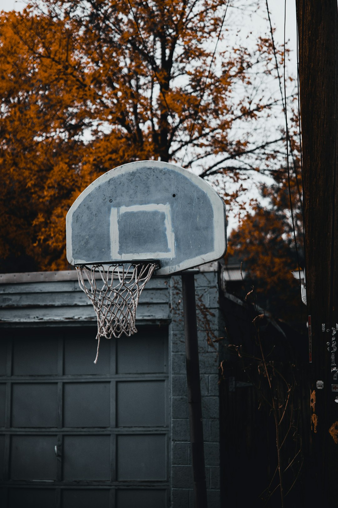 basketball hoop near brown trees during daytime