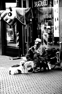 A street performer is sitting on the ground playing a flute. A small dog stands on a bench beside them. The scene is in front of a store with glass doors displaying various products. The image is in black and white, giving it a dramatic contrast.