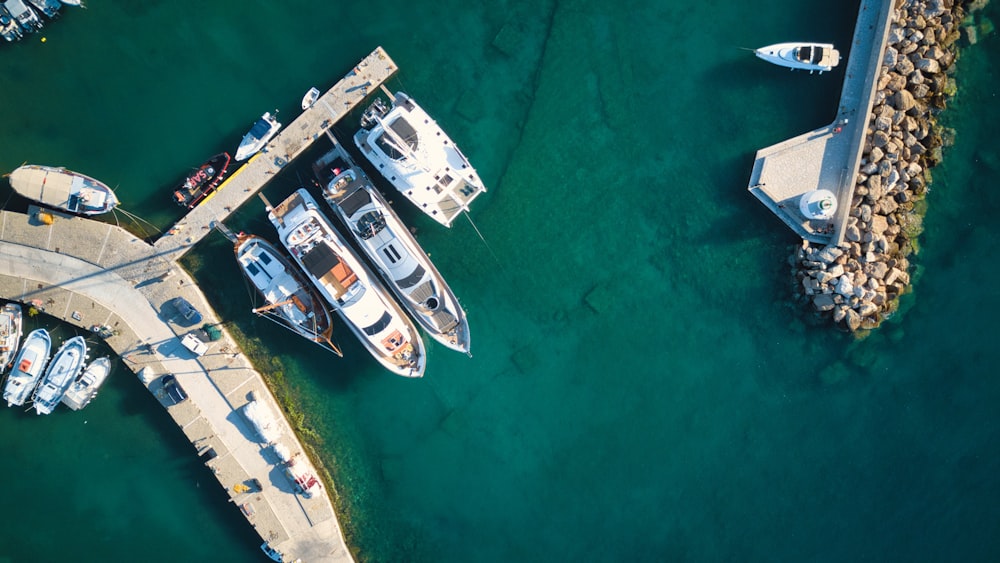 white and blue boat on body of water during daytime