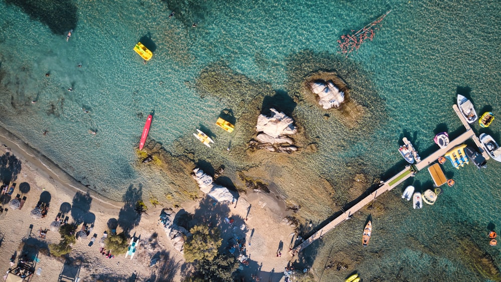 people on beach during daytime