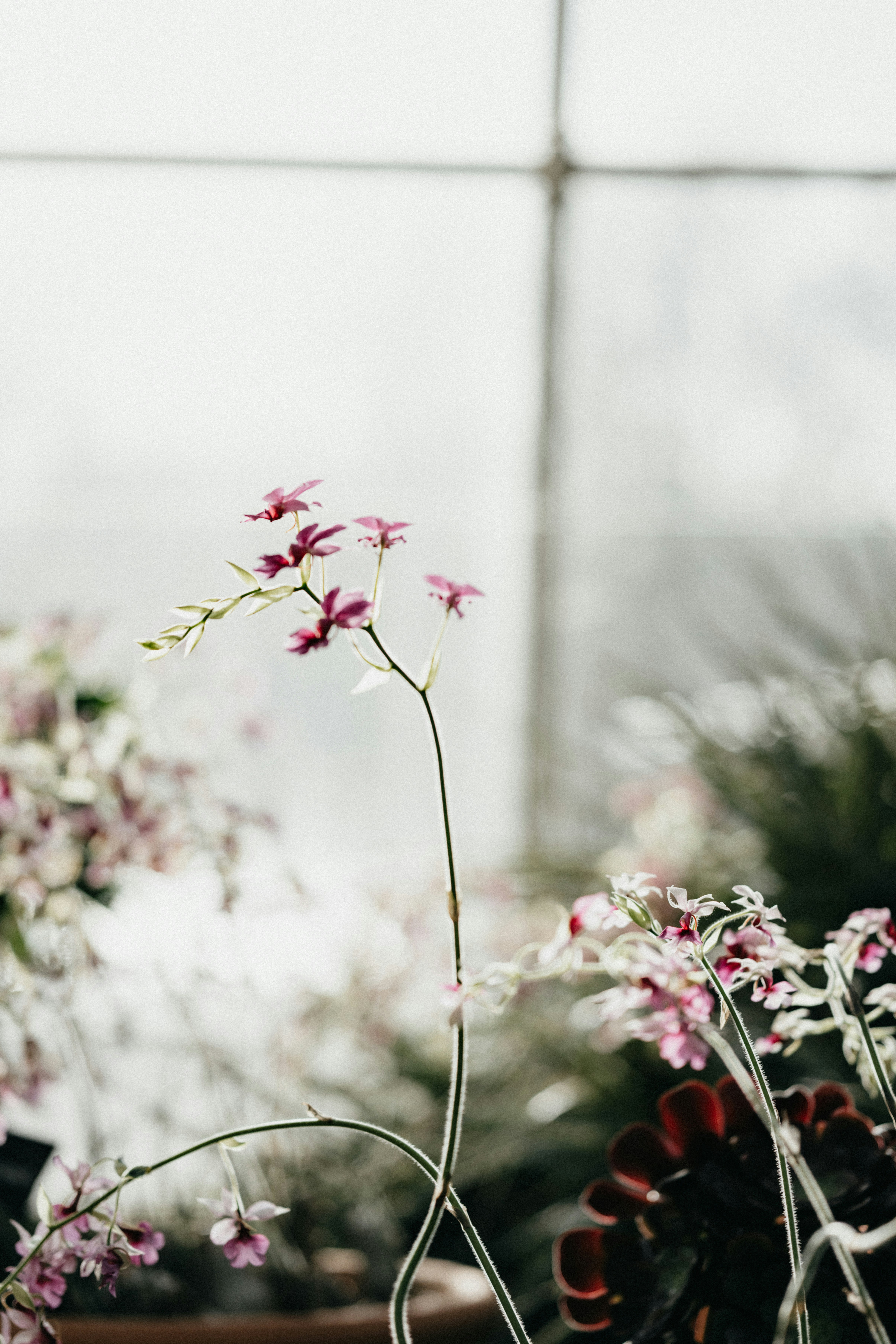 Photo by anniespratt