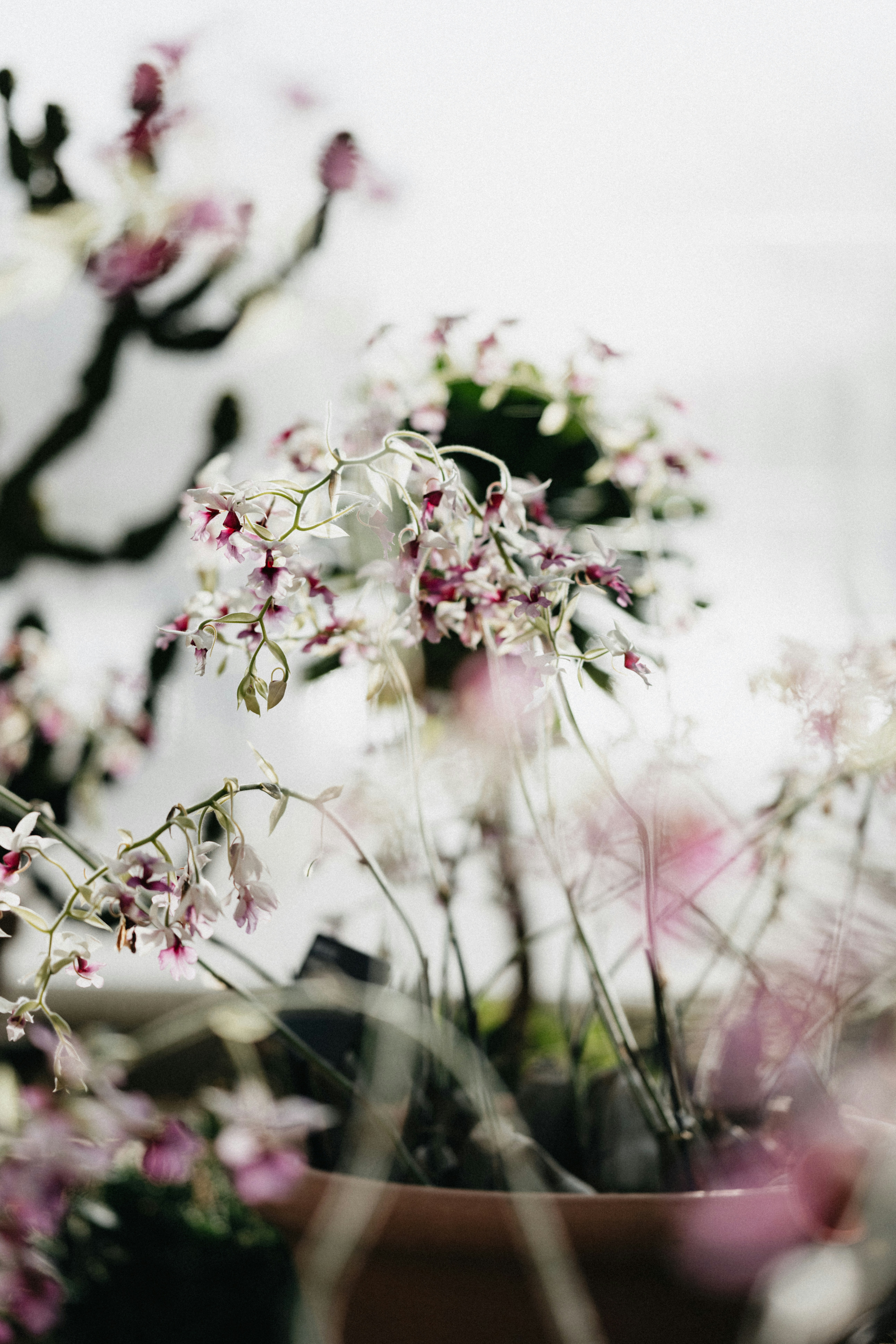 Photo by anniespratt