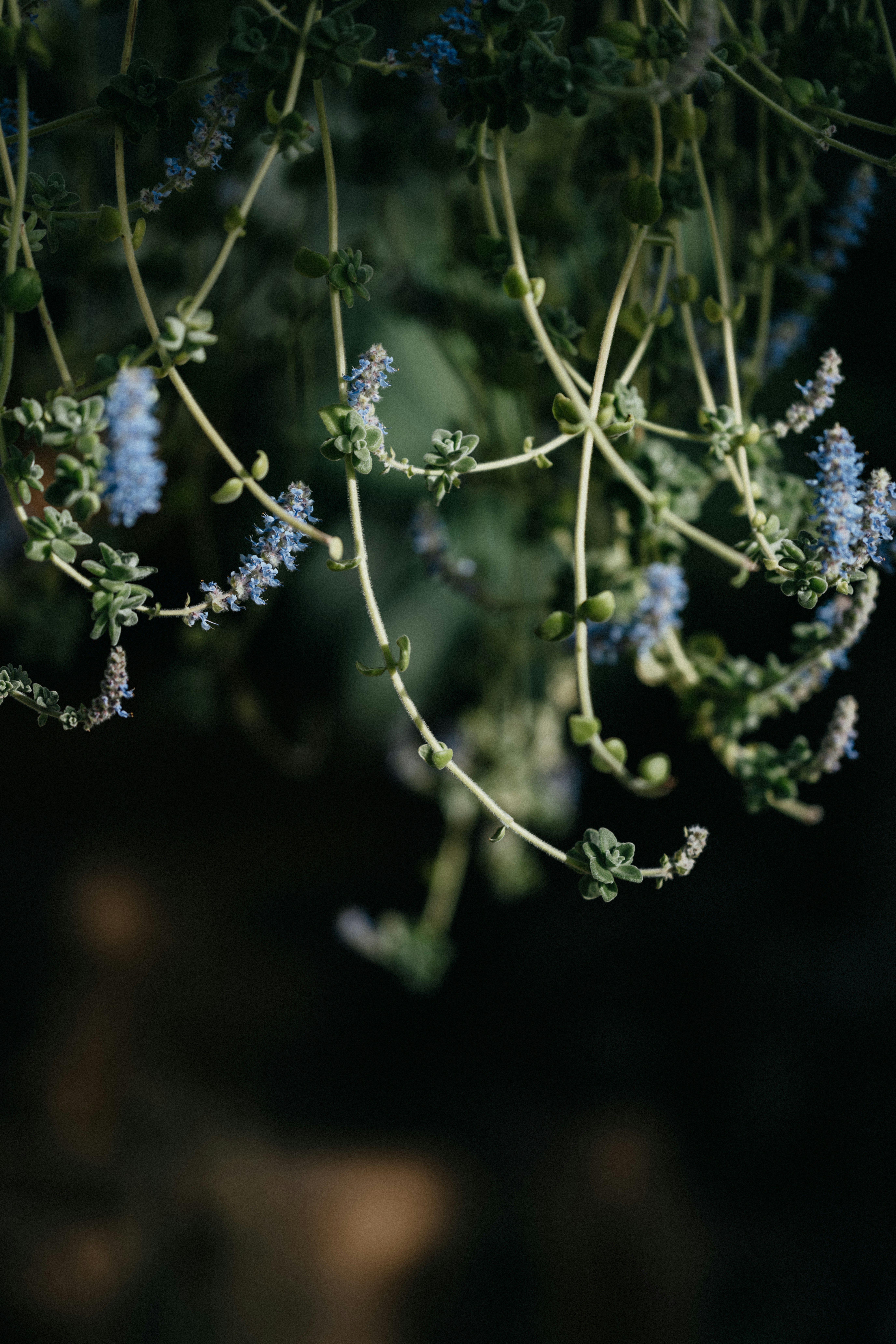 Photo by anniespratt