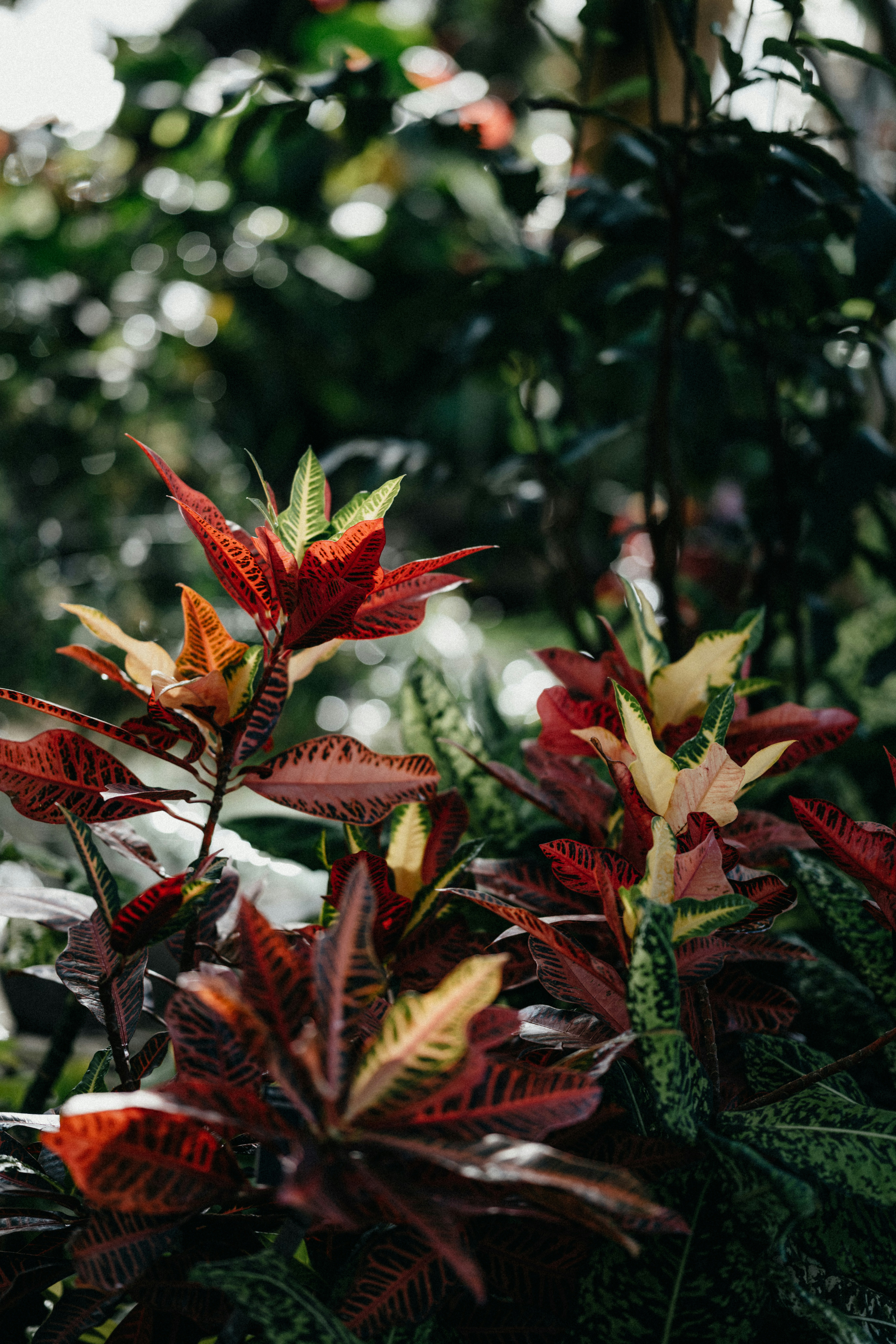 Photo by anniespratt