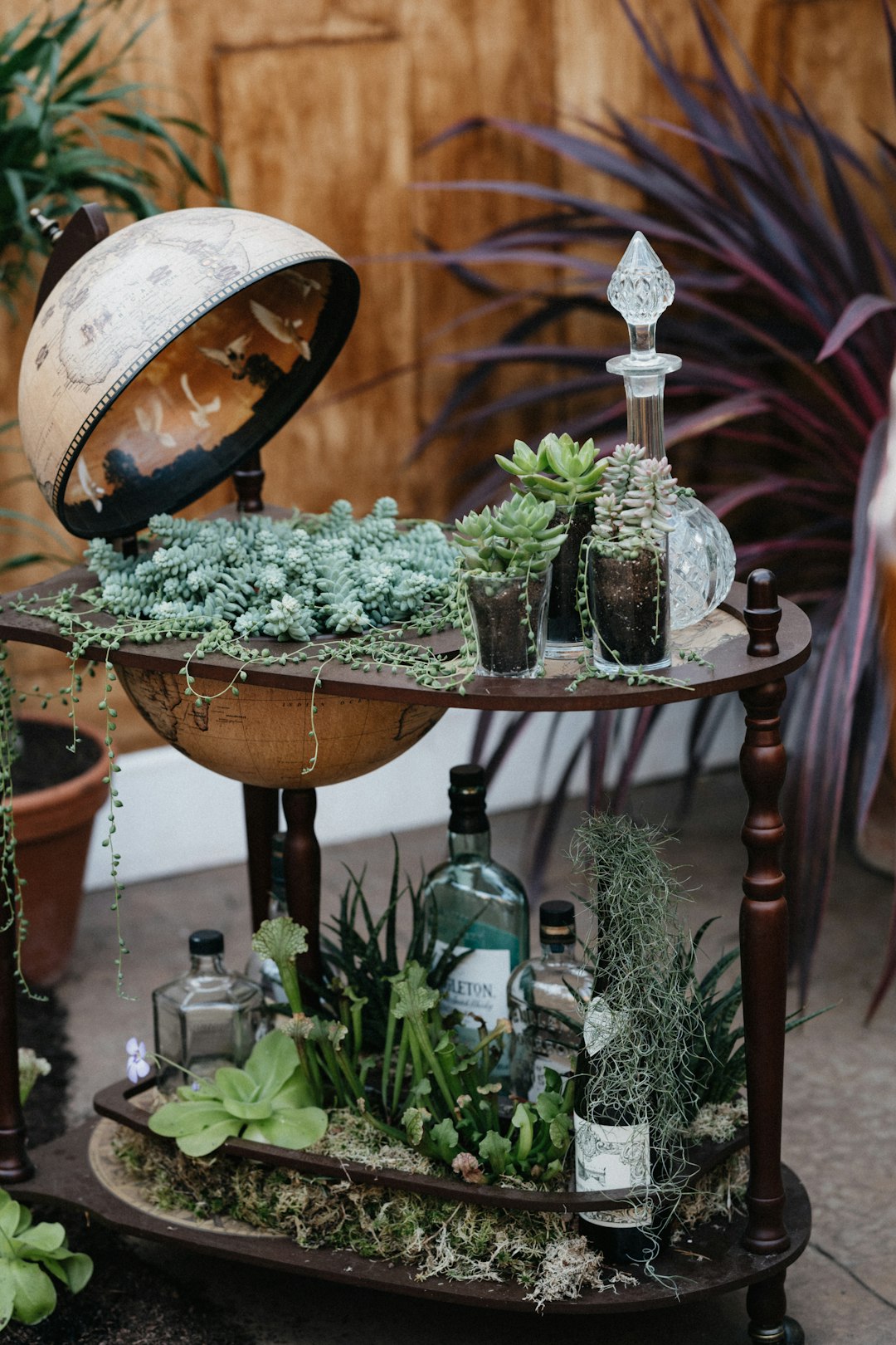 green plant on brown wooden table