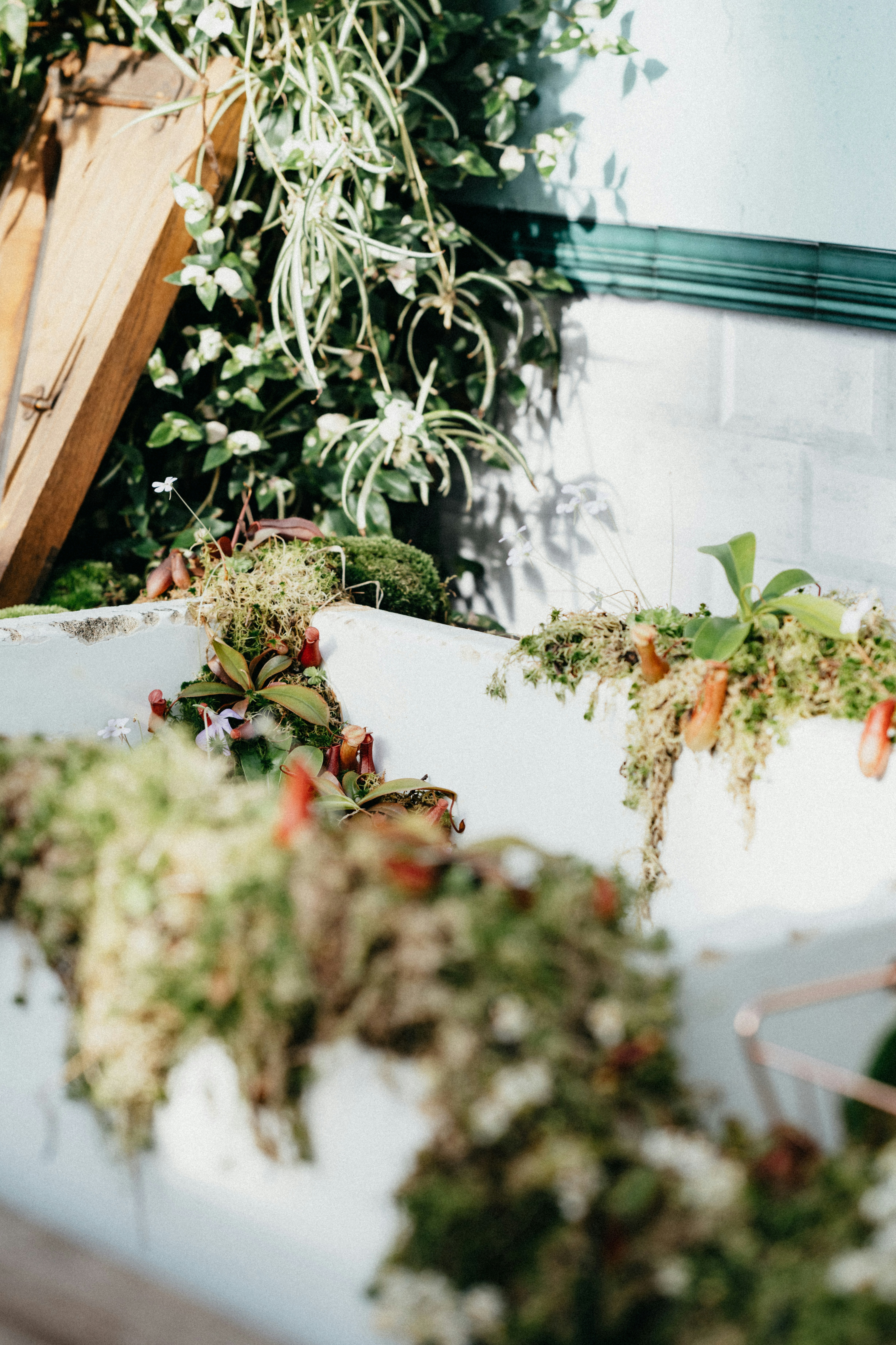 Photo by anniespratt