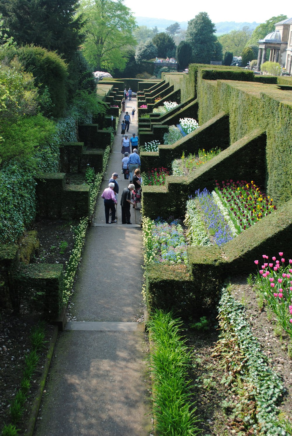 昼間、緑の植物の間の小道を歩く人々