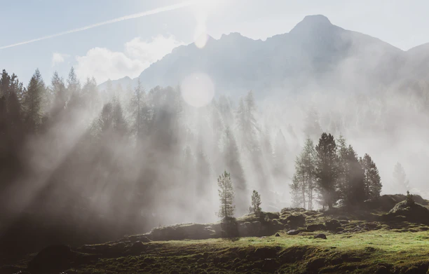 Sunlight filtering through ancient trees in the Rhodope Mountains, a hiker pausing to admire the view.