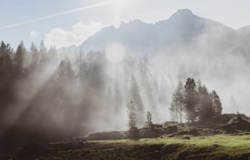 Sunlight filters through mist in a dense forest, casting rays over lush greenery and rugged terrain. A mountain looms in the background, partially veiled by the fog.