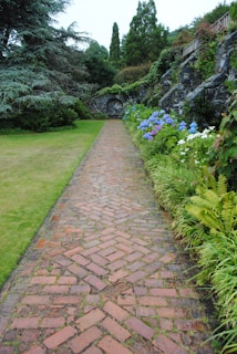 brown brick pathway between green grass field