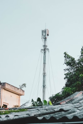 A telecommunications tower rises prominently against a pale sky. It is surrounded by lush green foliage and the edge of a building is visible on the left side. The scene also includes parts of a rooftop at the bottom.