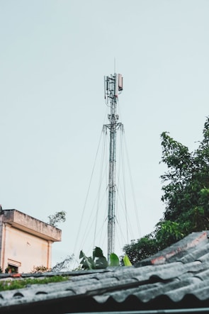 A telecommunications tower rises prominently against a pale sky. It is surrounded by lush green foliage and the edge of a building is visible on the left side. The scene also includes parts of a rooftop at the bottom.