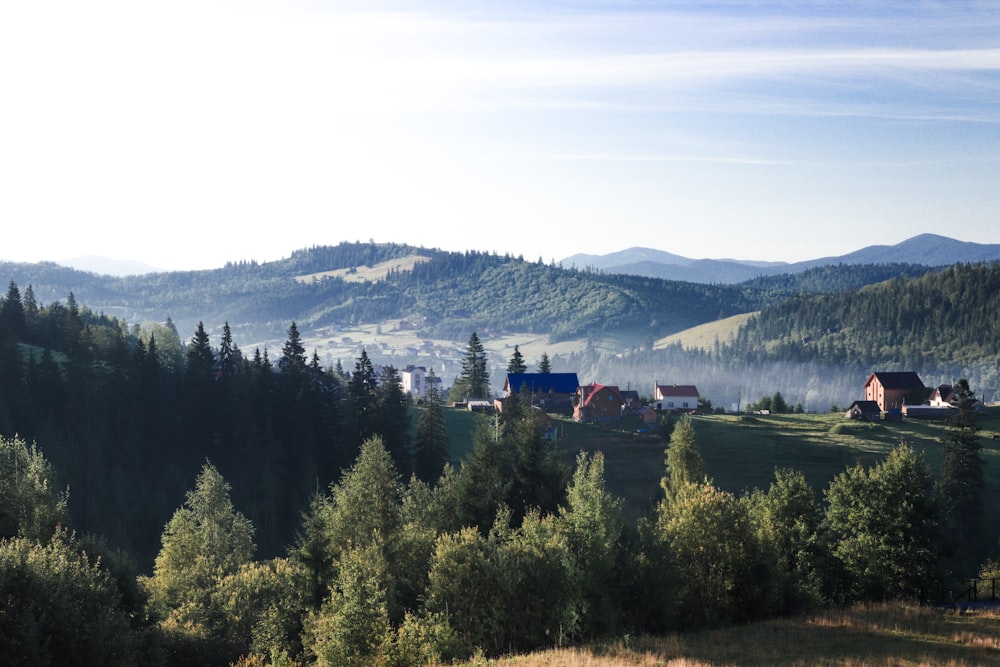 Grüne Kiefern in der Nähe von Bergen während des Tages