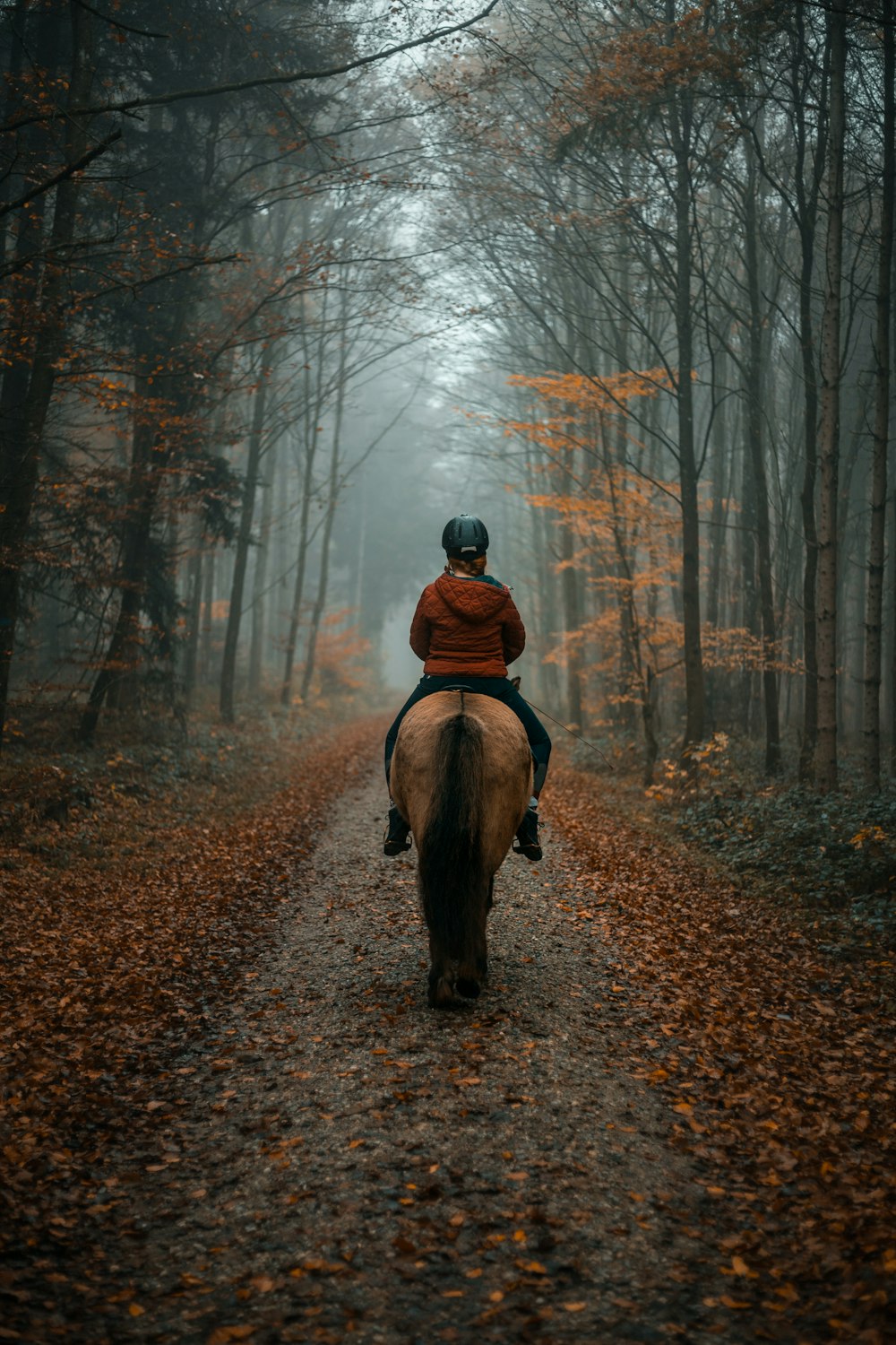 person in brown jacket walking on forest during daytime