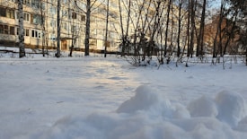 A snow-covered landscape in front of an apartment building. The scene includes several bare trees with visible trunks, and the sunlight casts long shadows over the snow. The building's windows reflect some of the sunlight, adding a warm tone to the generally cold atmosphere.