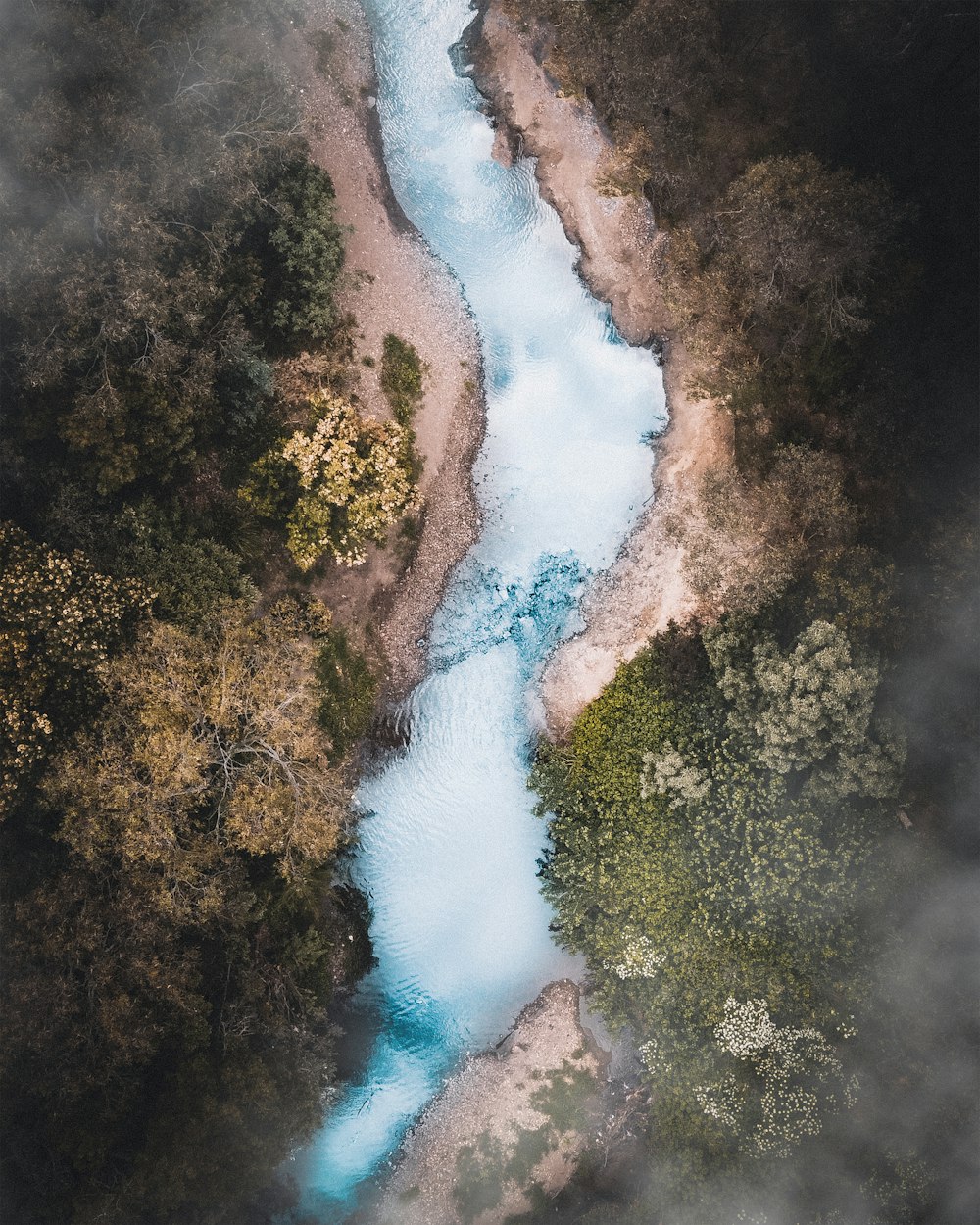 aerial view of green trees and river