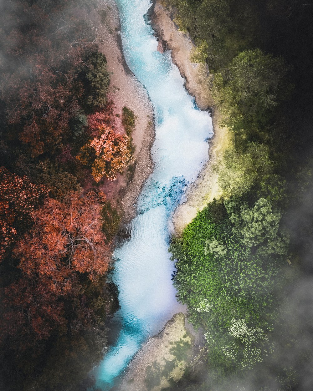 aerial view of green trees and river