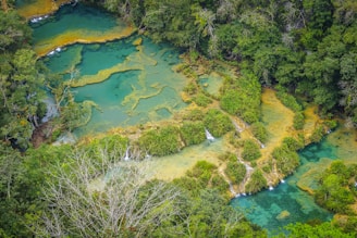 A vibrant landscape featuring a series of turquoise pools connected by small waterfalls, surrounded by lush greenery and dense forest. The scene is an overhead view showcasing the natural pattern and flow of water and vegetation.