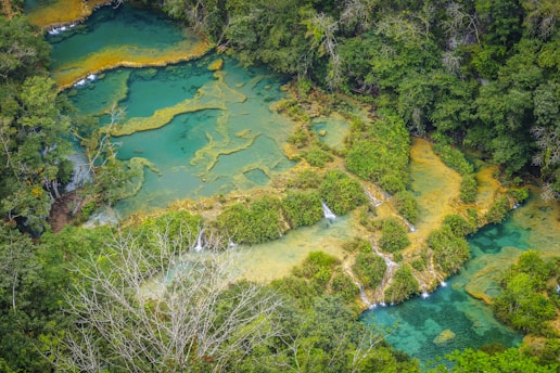 A vibrant landscape featuring a series of turquoise pools connected by small waterfalls, surrounded by lush greenery and dense forest. The scene is an overhead view showcasing the natural pattern and flow of water and vegetation.
