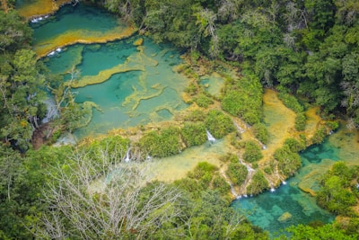 A panoramic shot of multiple pools integrated into the forest landscape with fantasy-themed decorations.