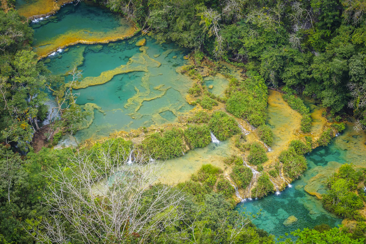 Vista aérea de las pozas turquesas de Semuc Champey rodeadas de selva, Alta Verapaz, Guatemala