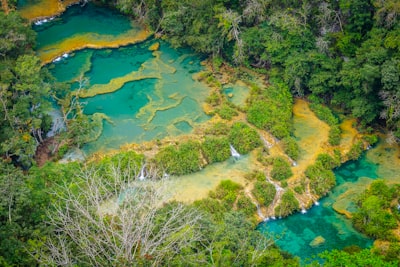 aerial view of green trees and lake pictorial zoom background