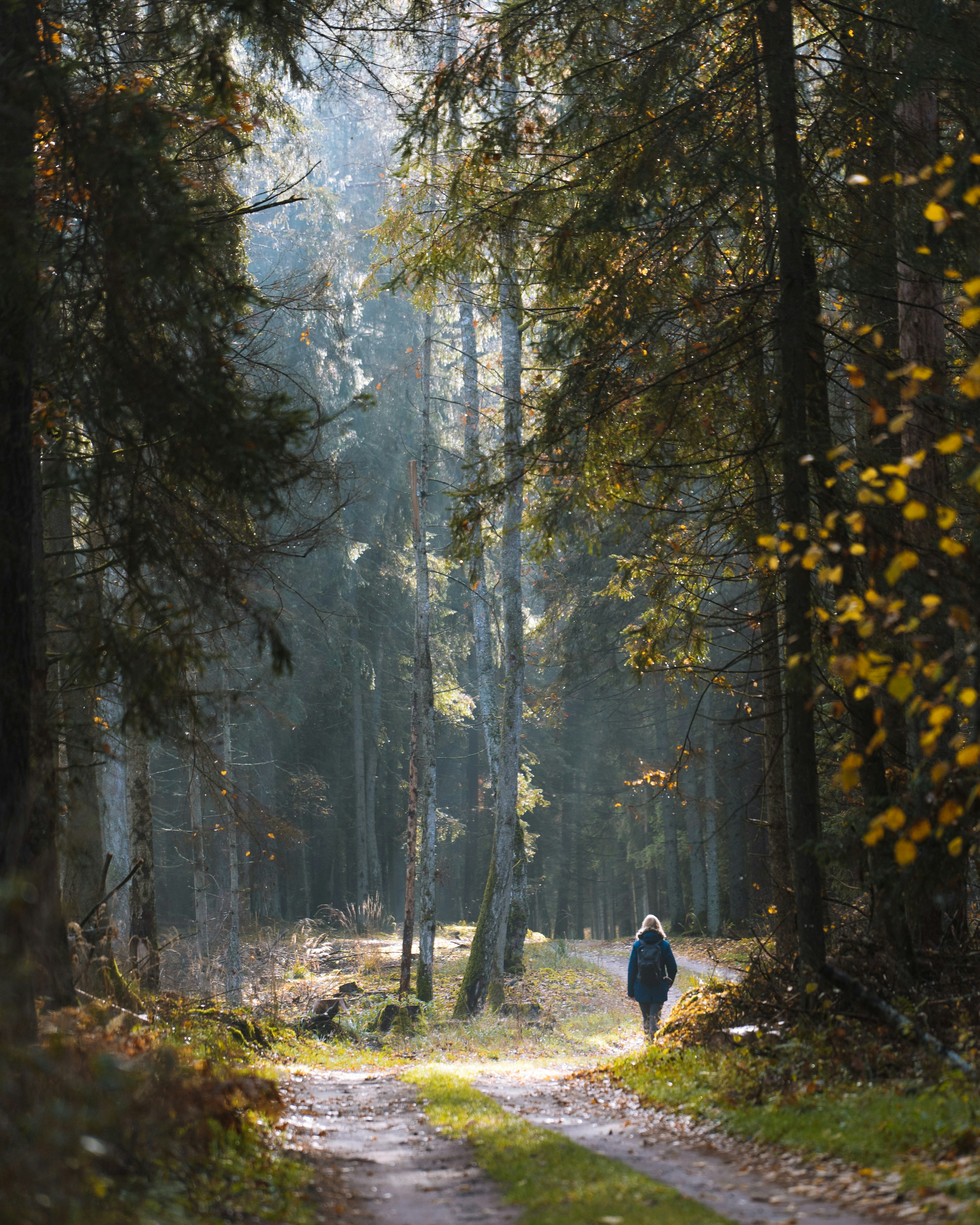 Photo by deko_photo4