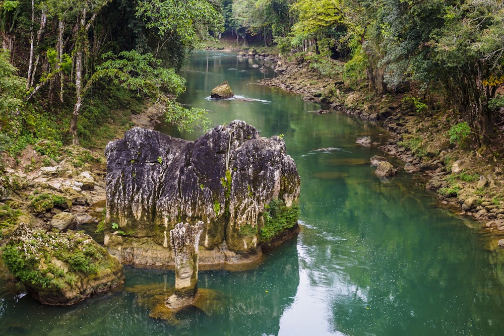 日中の水域近くの茶色の岩層に緑色の苔