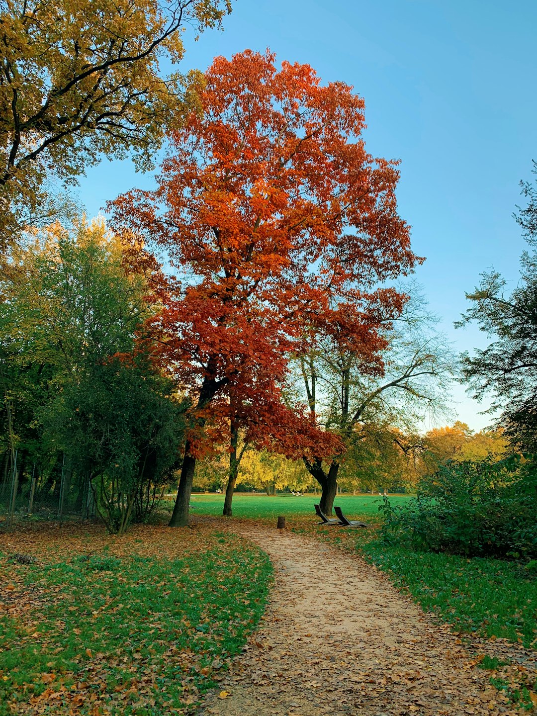 Natural landscape photo spot Népliget Szeged