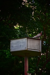A pigeon is perched on top of a weathered, metallic birdhouse mounted on a pole. The surrounding area is filled with dense, dark green foliage, creating a natural and tranquil setting.