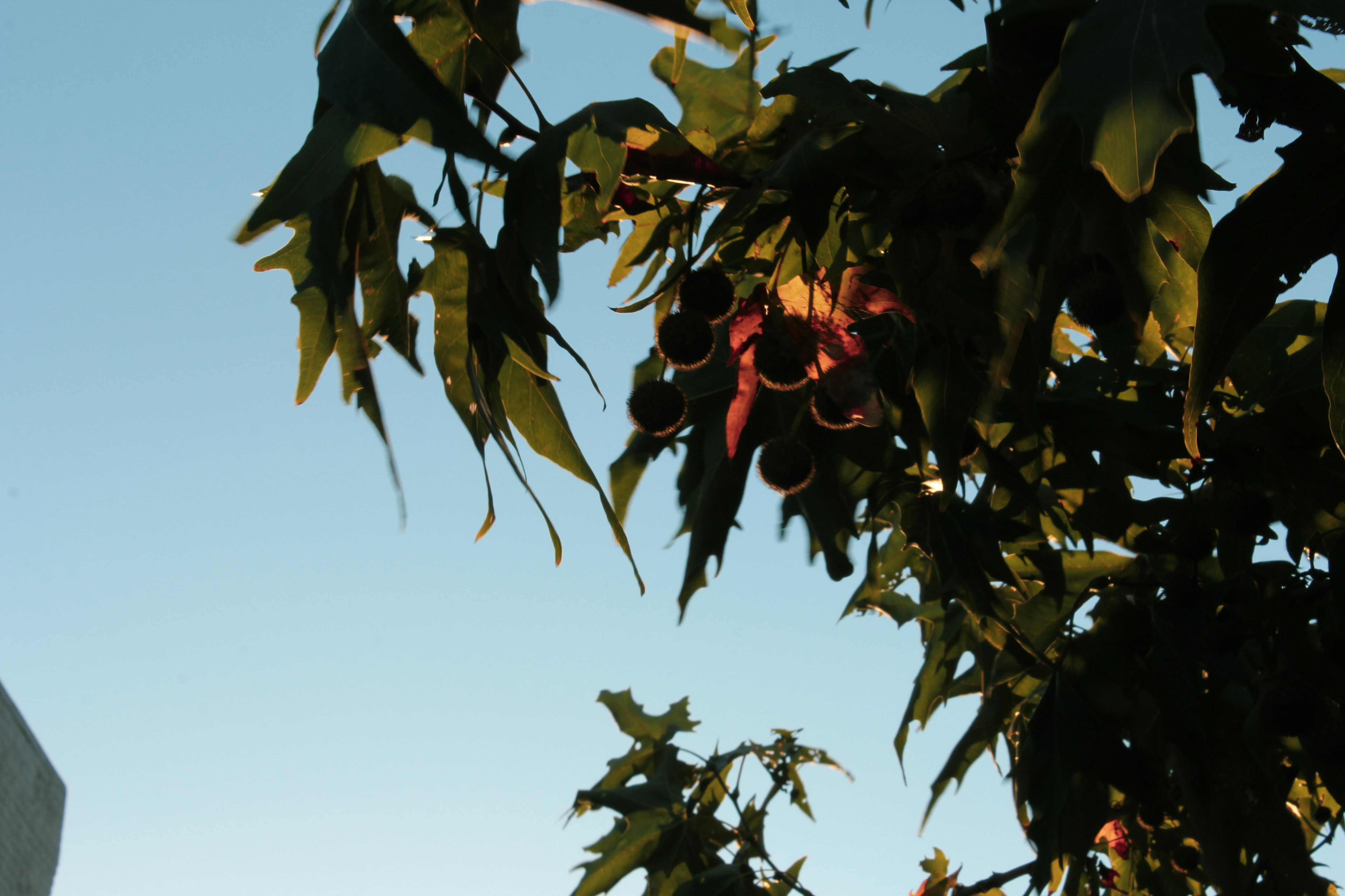 Photo by nao_takabayashi