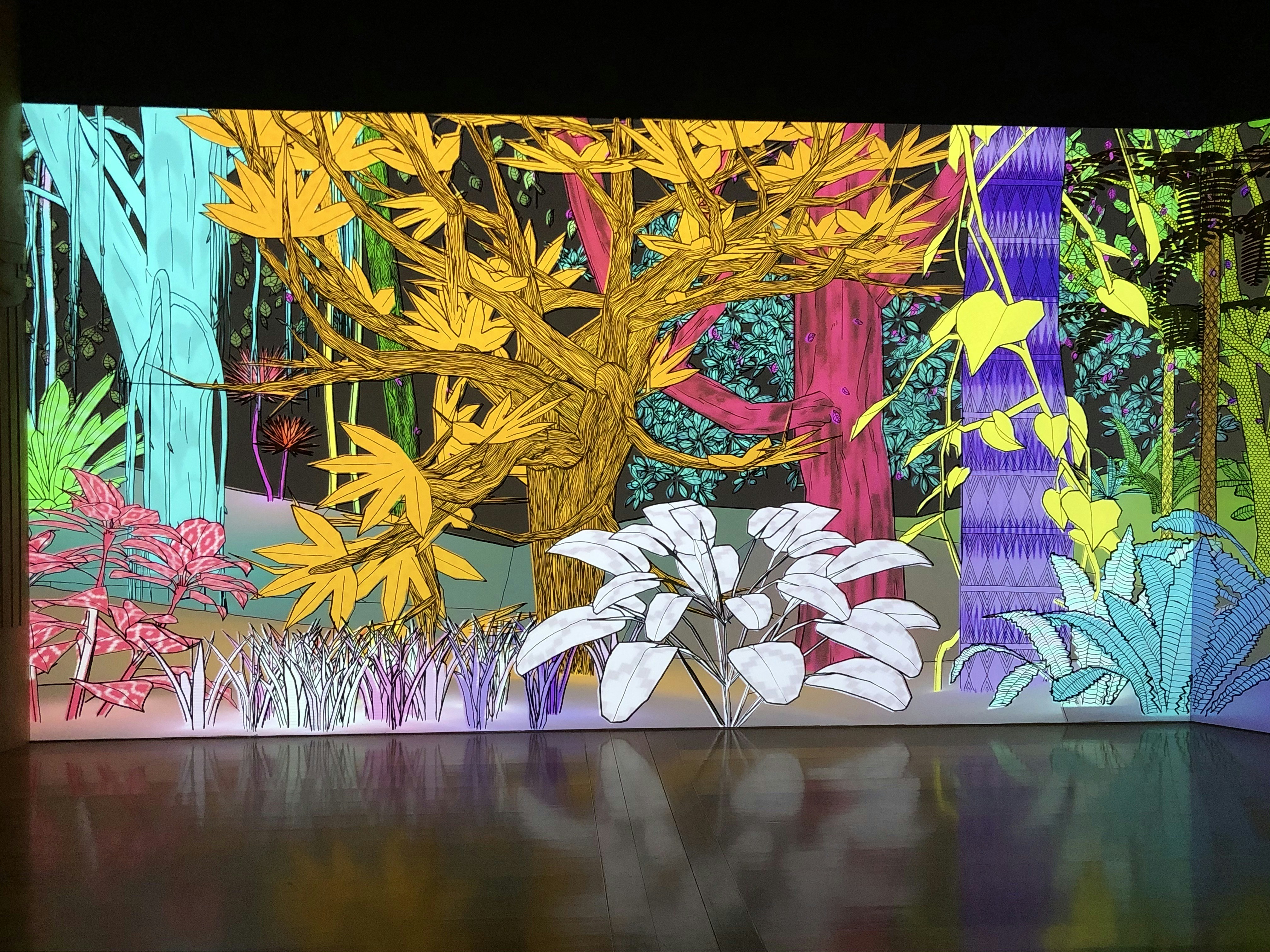 História Mágica da Floresta