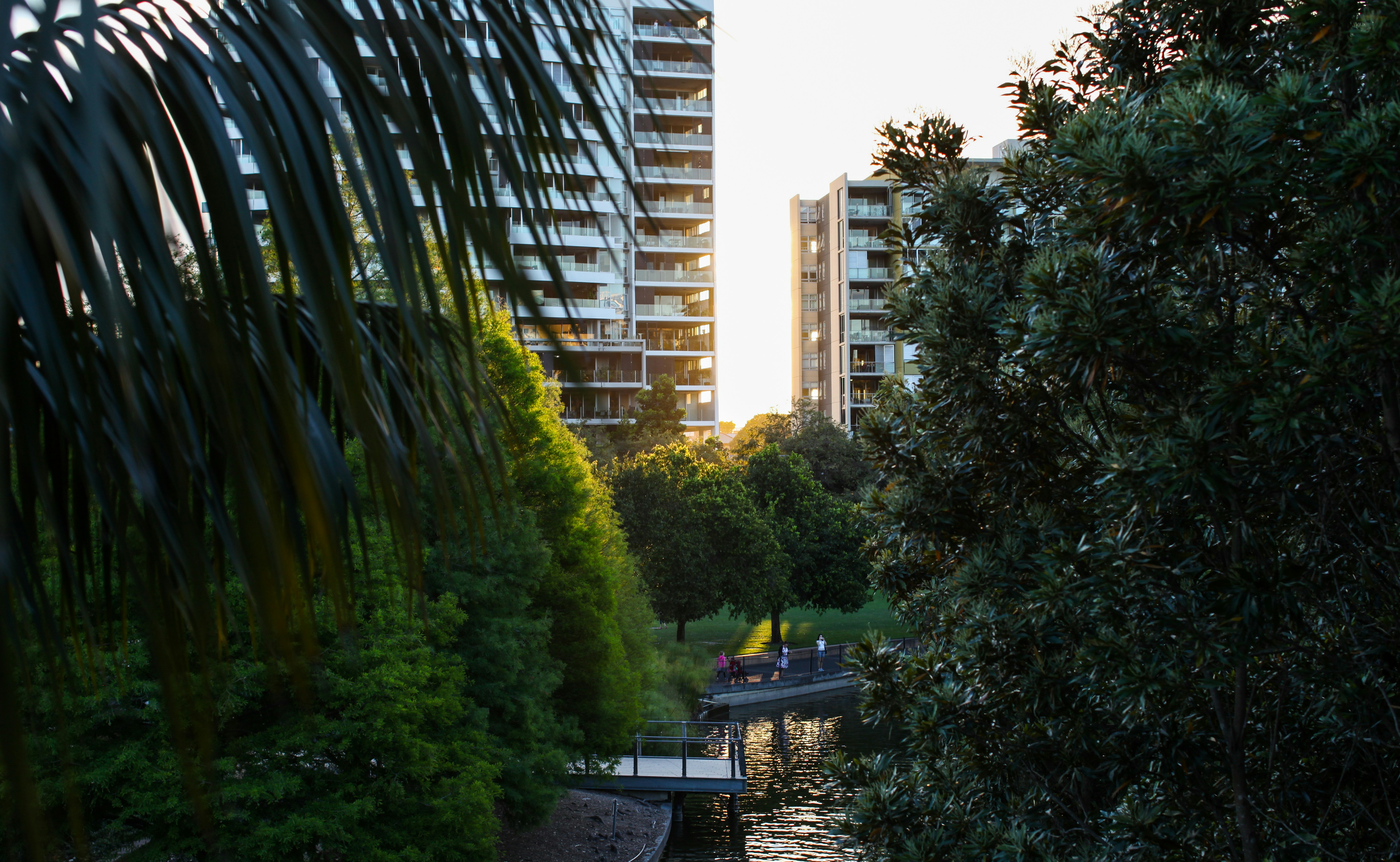 Image by Patrick McGregor via Unsplash