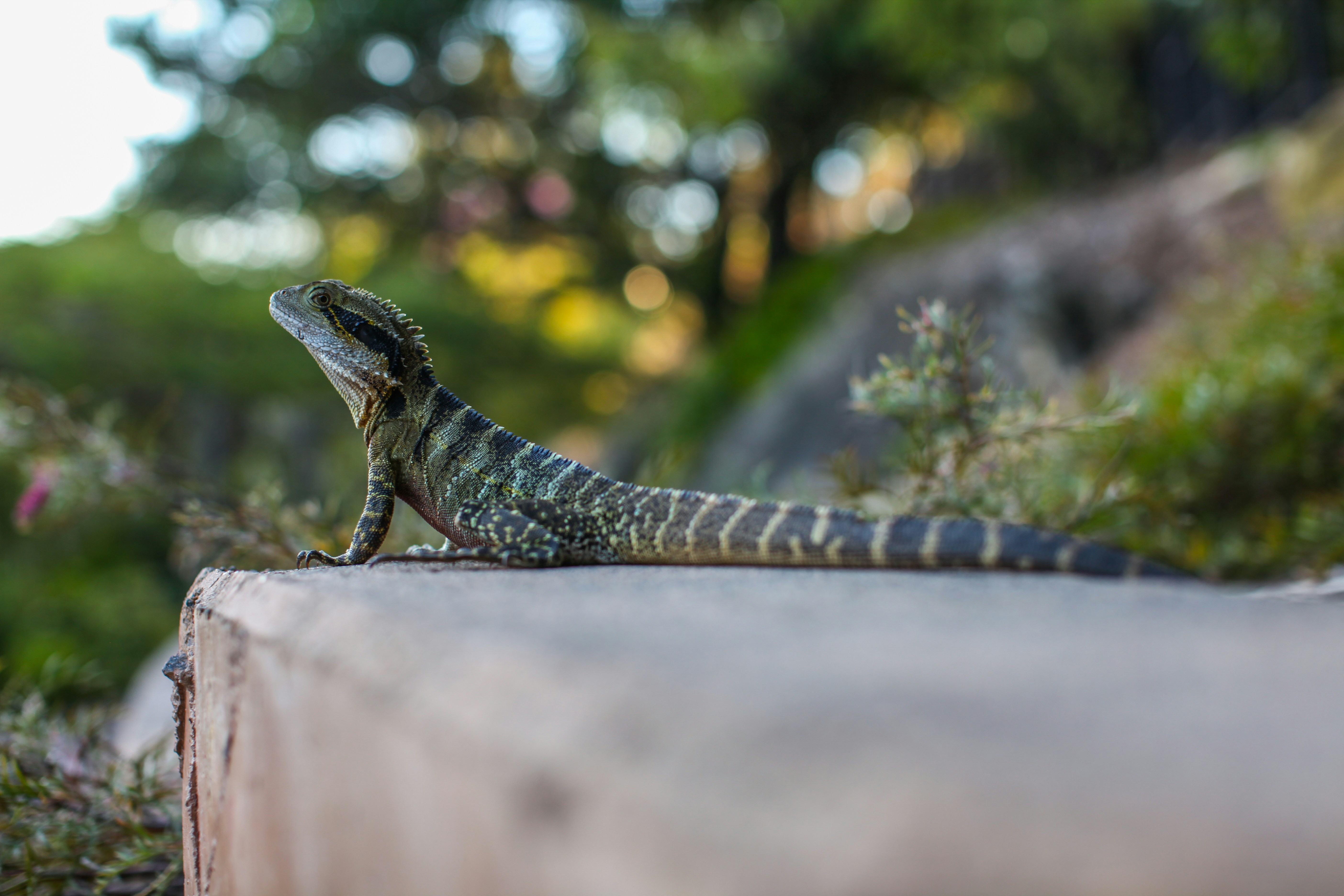 Photo by patricktravelist