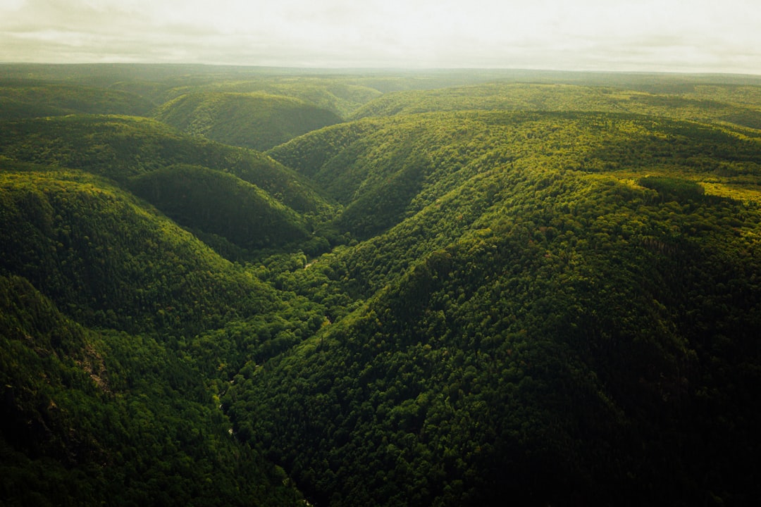 an aerial view of a lush green valley,