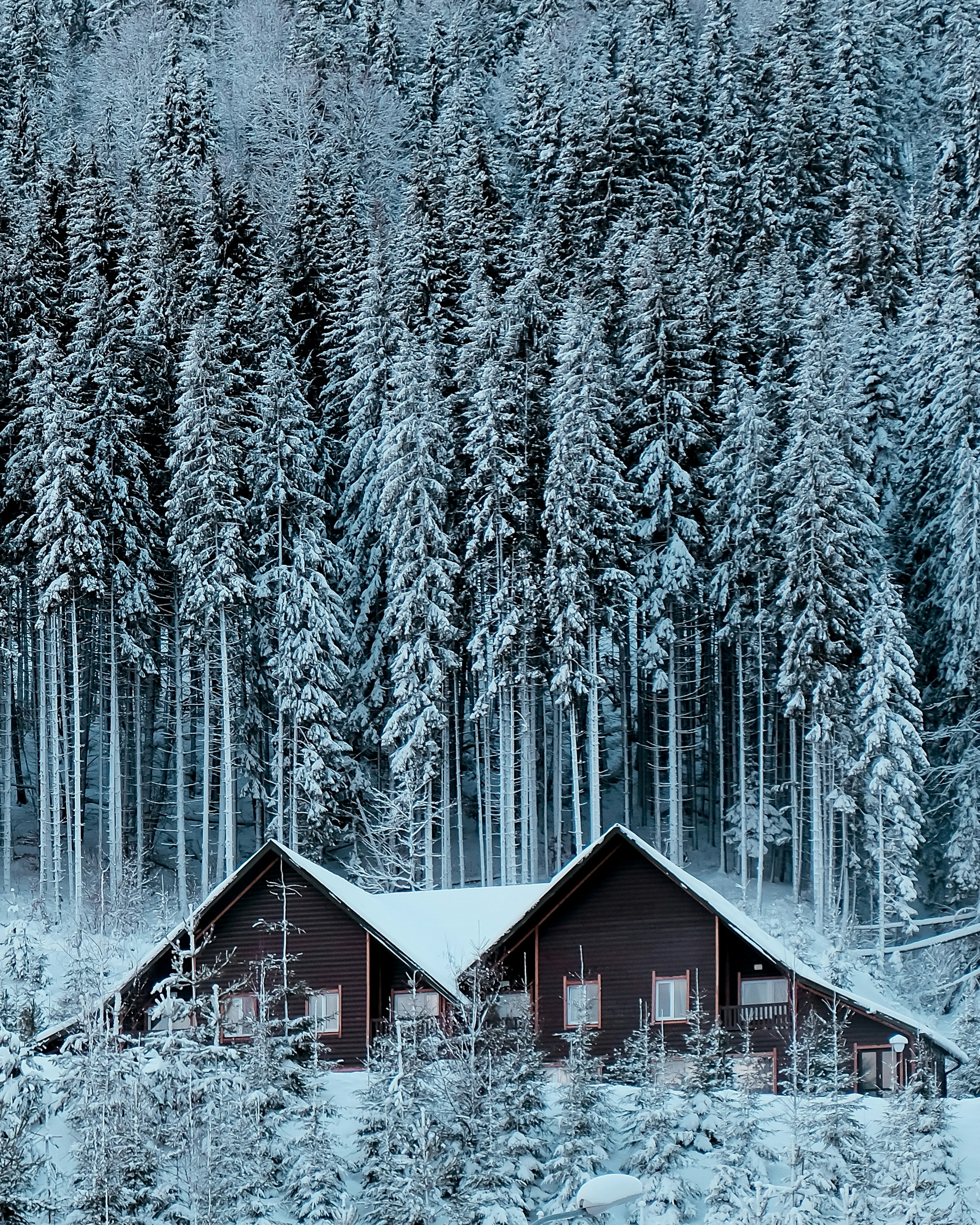 Photo by dpidhrushnyi