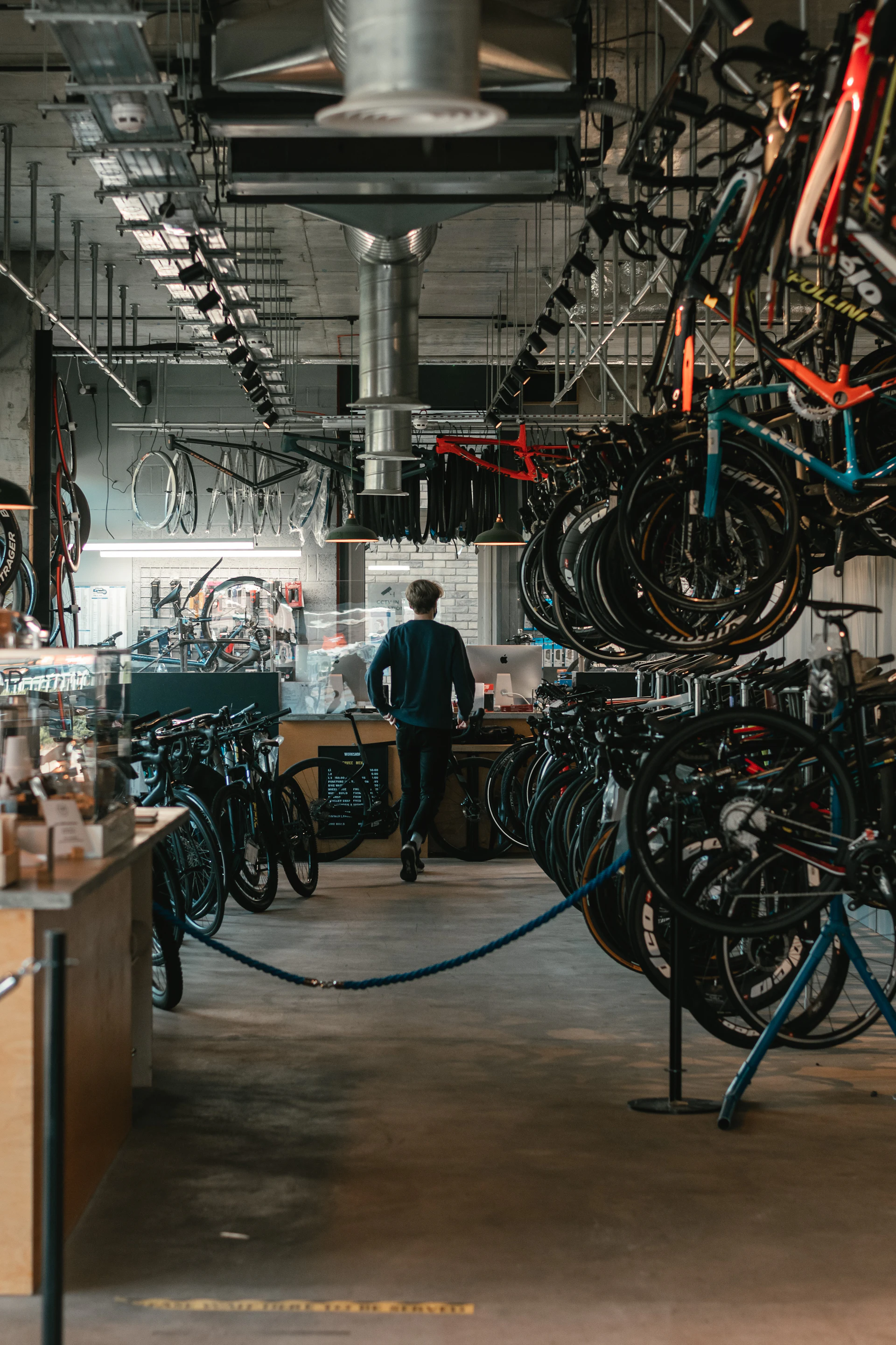 Inside the Cog & Cassette shop, bikes hanging from the wall racks