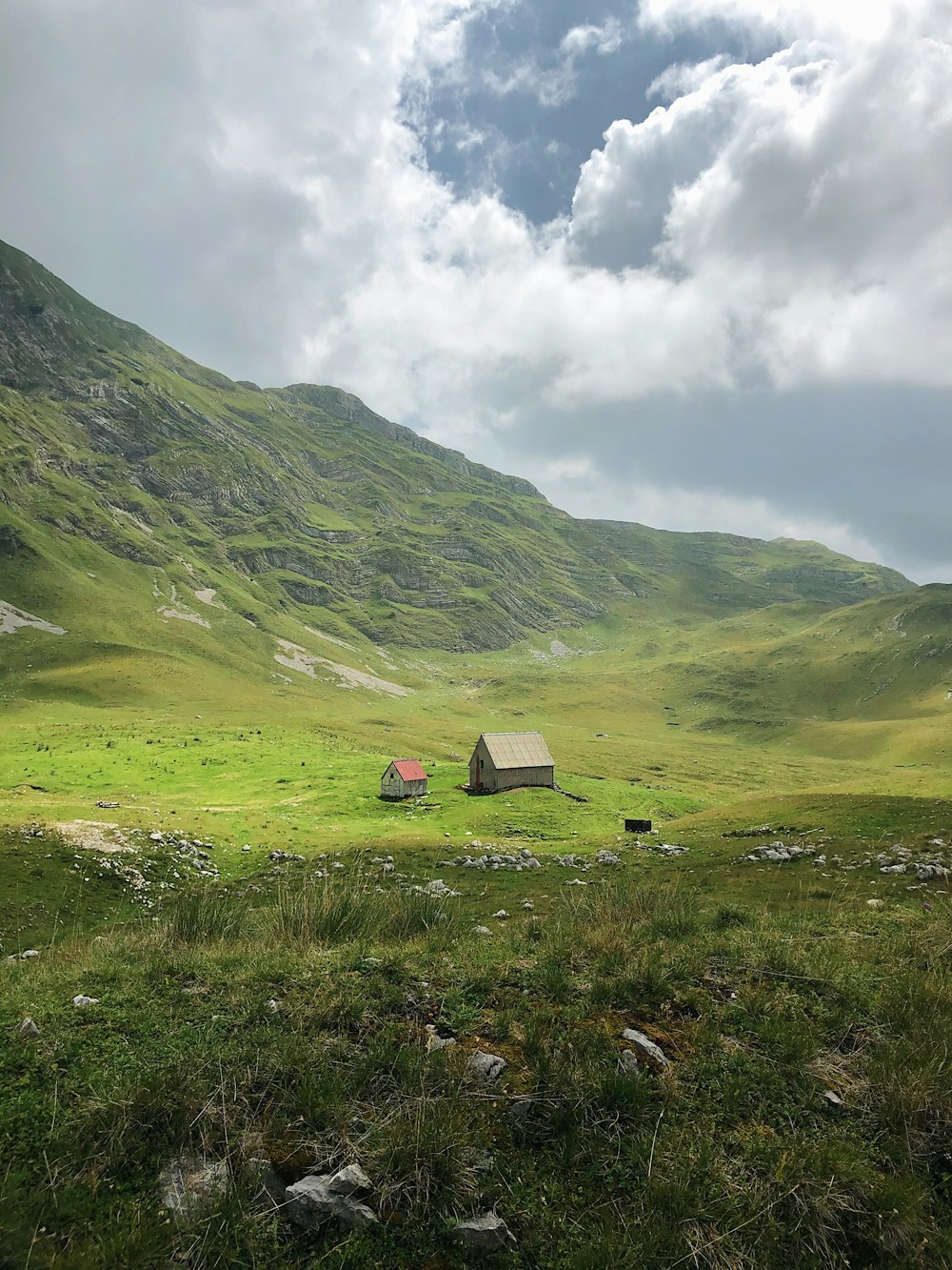 Grünes Grasfeld und grüne Berge unter weißen Wolken und blauem Himmel tagsüber