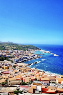 aerial view of city buildings near sea during daytime