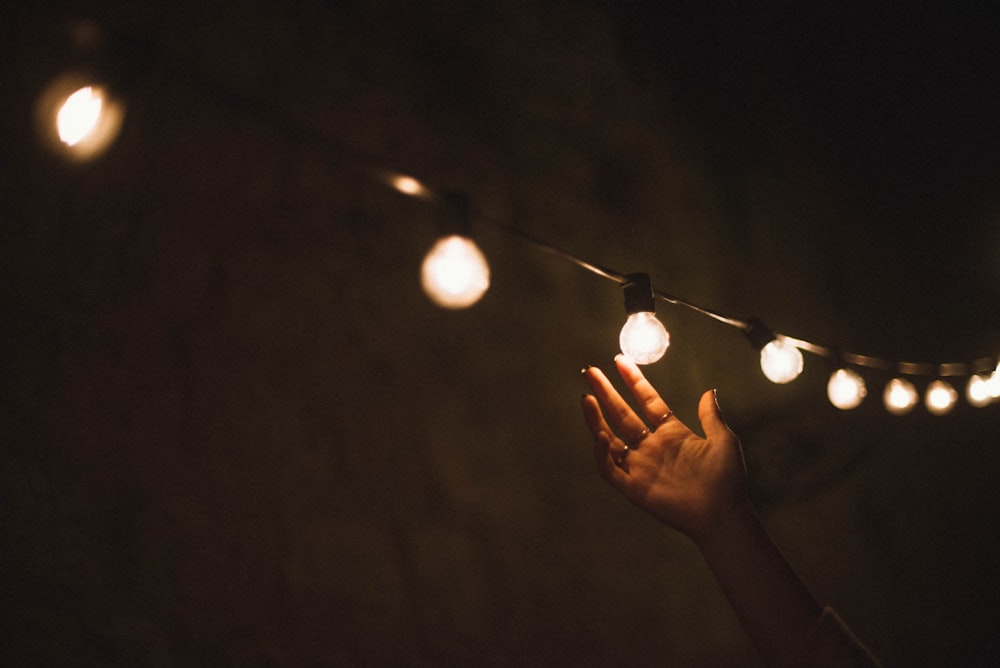 person holding white light bulb