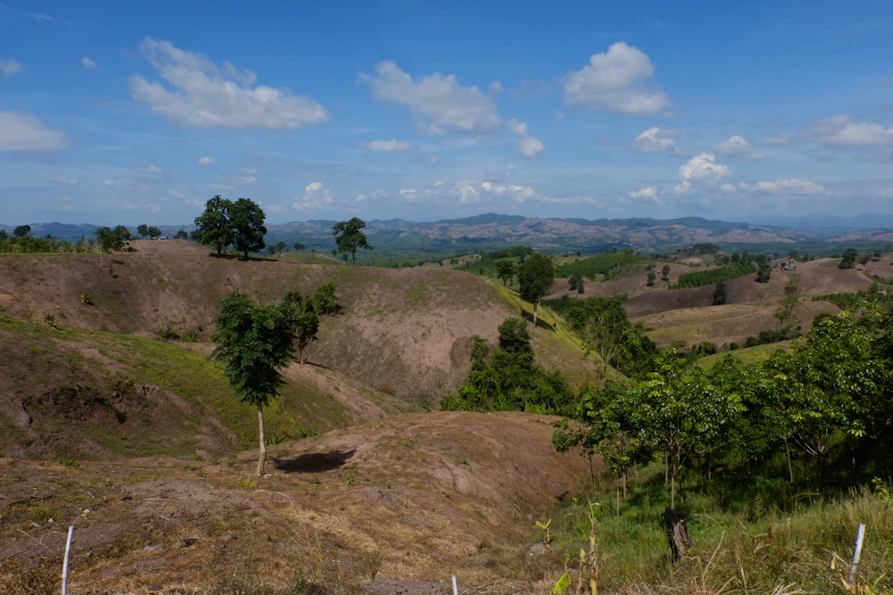 Grassed land under blue sky