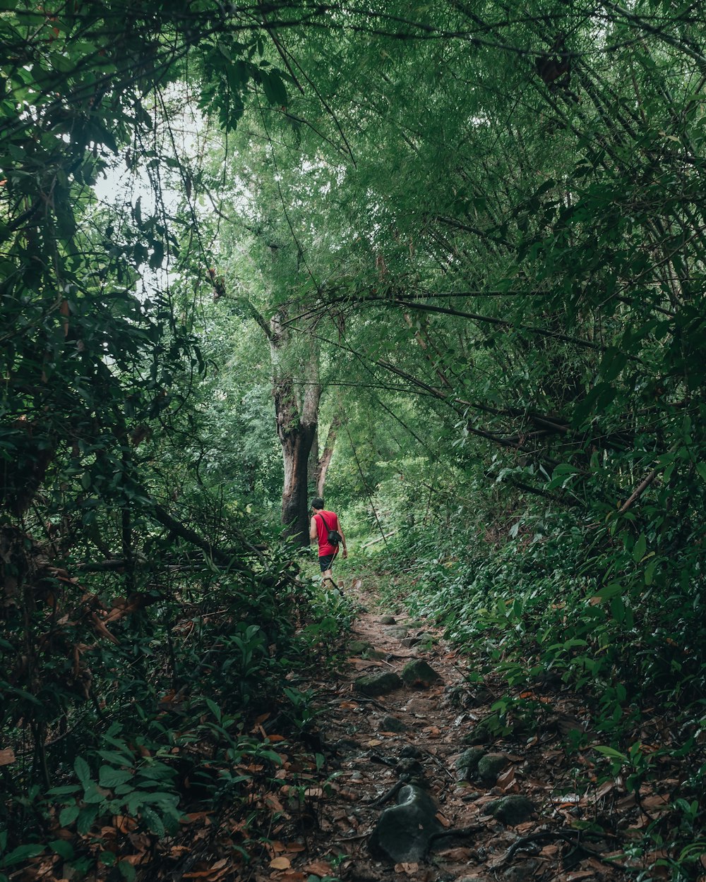 person in red jacket walking on dirt path between green trees during daytime