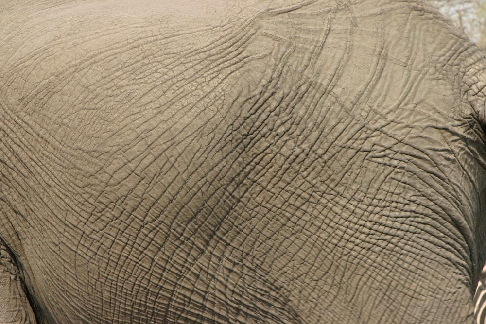 brown sand with water during daytime